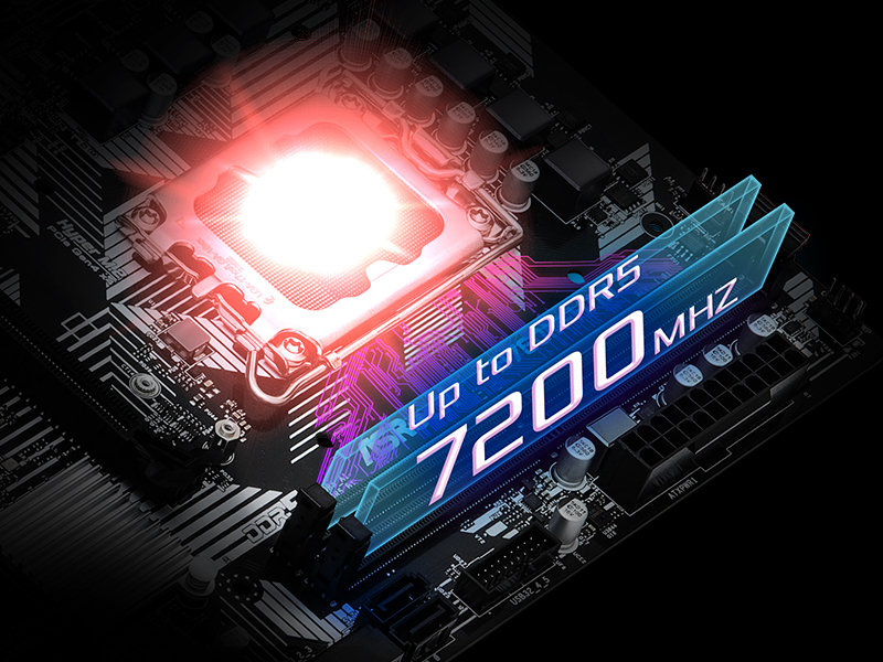 DDR5 XMP & EXPO Support